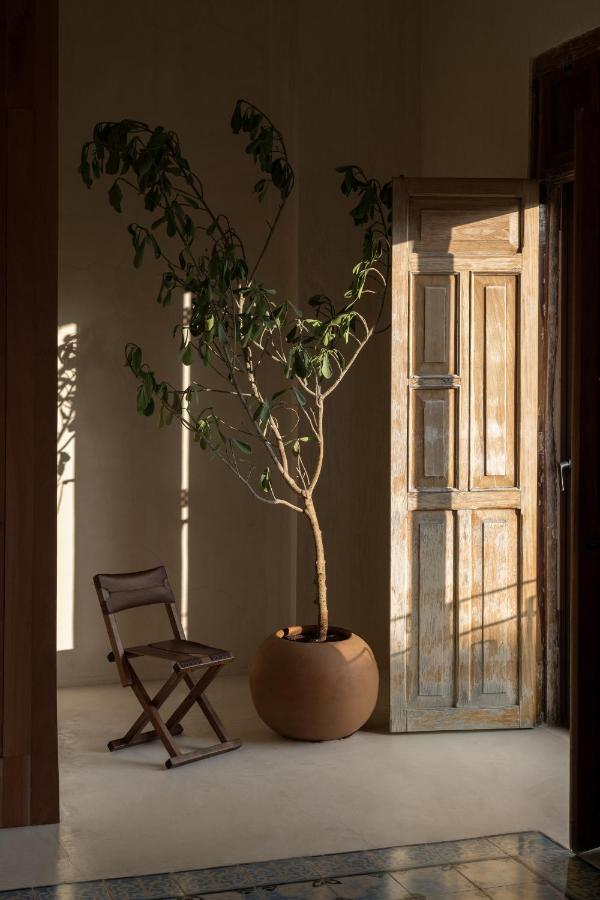 Apartmán Narrativ Lofts - Numen - Stylish Hideaway Campeche Exteriér fotografie